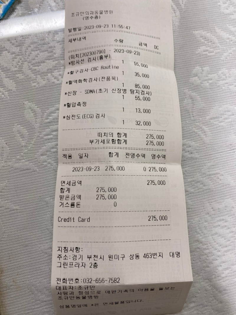 canmakeithappen's tweet photo. 떠치는 사고로 뒷다리를 쓰지 못하여 외과병원에서 골절수술을 했습니다. 첫병원과 수술병원에서의 비용이 4,190,580원이 나와서 모금을 부탁드리고자 합니다. 수술 후 떠치는 구조자님댁에서 회복 중에 있으며 후원하신 분께서는 장기임보를 해주시기로 했습니다.카카오뱅크 3333-05-2255558 이영화 https://t.co/SLORPe8J10