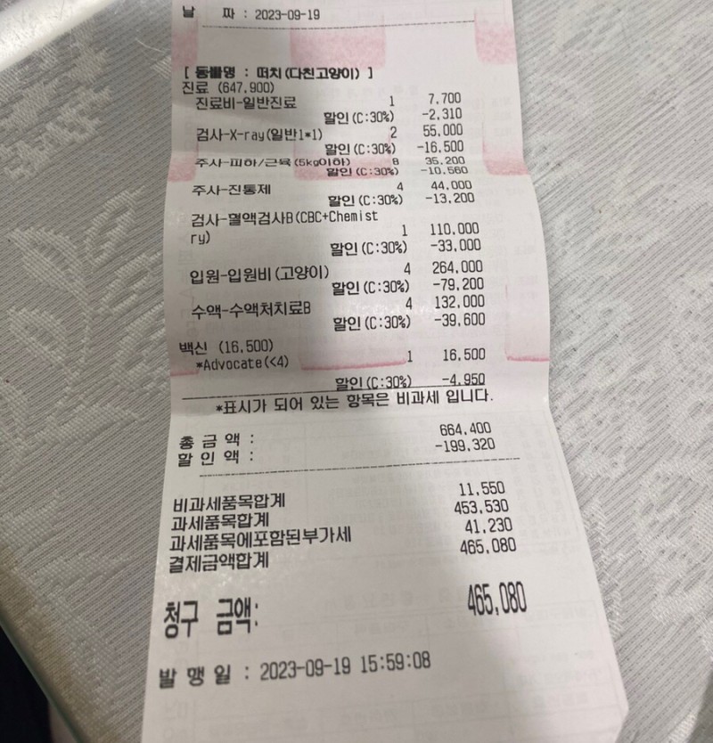 canmakeithappen's tweet photo. 떠치는 사고로 뒷다리를 쓰지 못하여 외과병원에서 골절수술을 했습니다. 첫병원과 수술병원에서의 비용이 4,190,580원이 나와서 모금을 부탁드리고자 합니다. 수술 후 떠치는 구조자님댁에서 회복 중에 있으며 후원하신 분께서는 장기임보를 해주시기로 했습니다.카카오뱅크 3333-05-2255558 이영화 https://t.co/SLORPe8J10