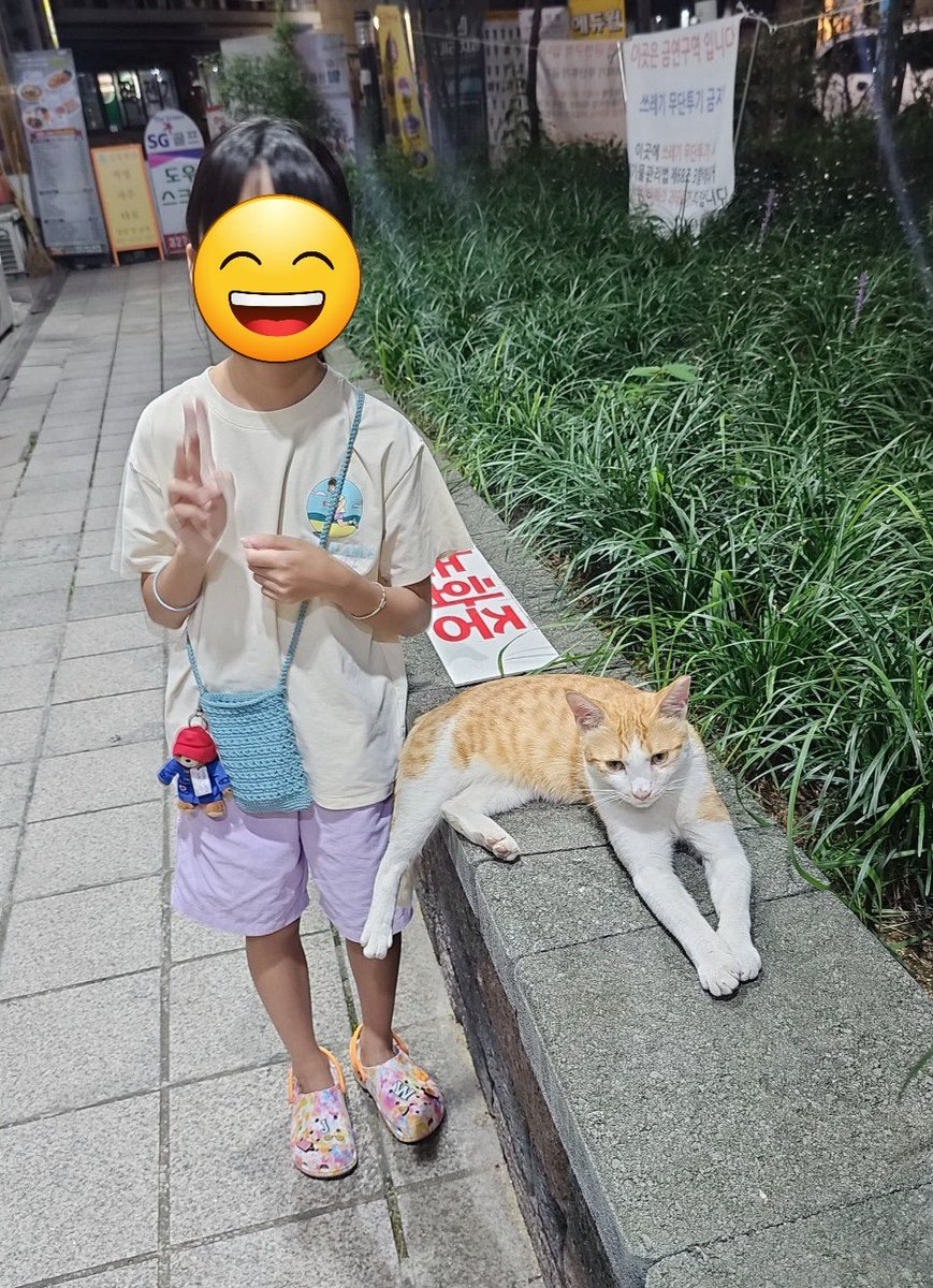 canmakeithappen's tweet photo. 떠치는 4월에 근처상가건물에 나타났고 당시 4개월 정도였어요. 처음에는 경계를 했는데 6월에 tnr을 하면서 사람 손을 타면서 많은 사람들의 사랑을 받았습니다. 대충만 손꼽아도 20여명정도 됩니다. 식당이 많아 음식물 쓰레기통을 뒤지기도 했어요. 쥐 사냥도 정말 잘했습니다. https://t.co/HbC3nqCfFw