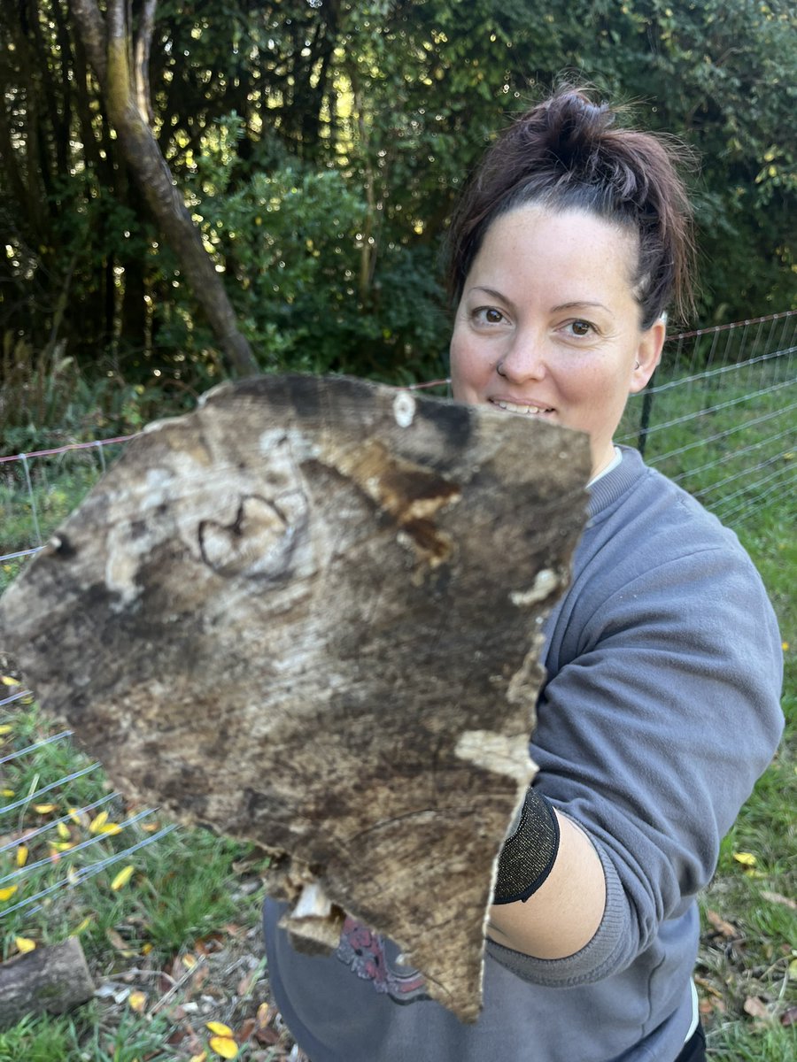 BeccaJonesTeach's tweet photo. When your friends come to help with a project and your angels leave you all the signs. ❤️ #Grief #Healing #HelloFromHeaven Hello my love, miss you! https://t.co/IhT4I5jUBH