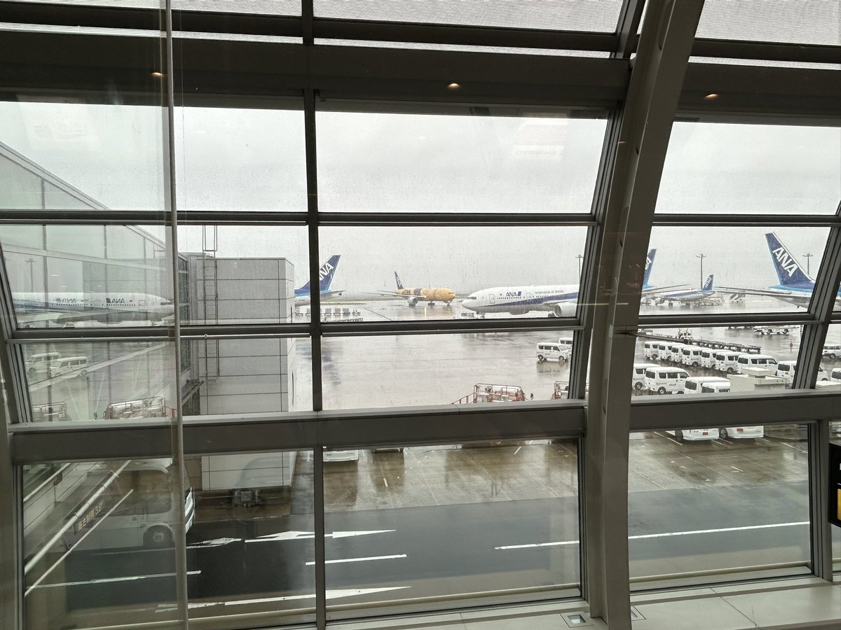nob1618's tweet photo. え?
え??
えーーー‼️
#JA743A
#NH253
#羽田空港
#HND
#RJTT https://t.co/whYusRUx4C