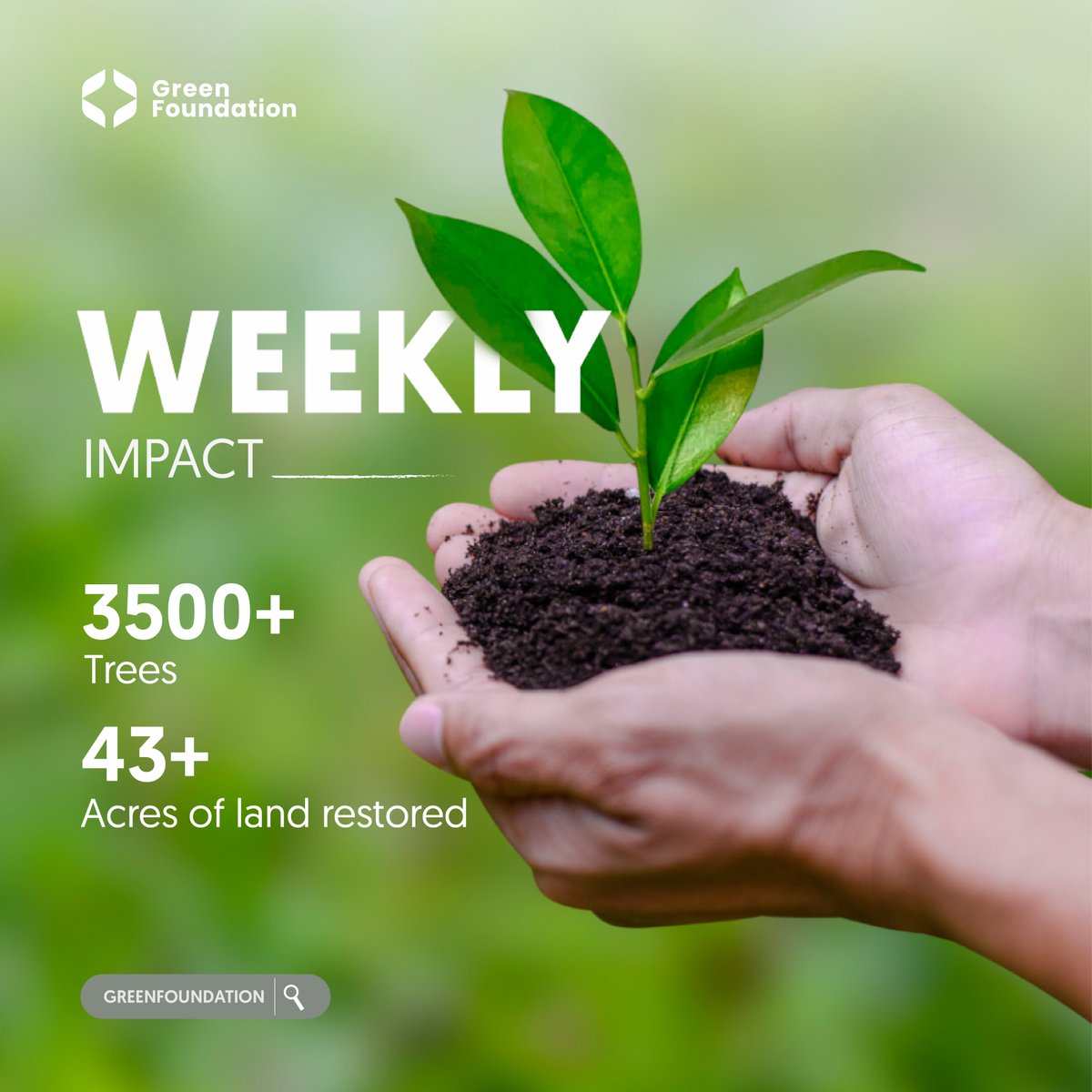GreenFoundhssm's tweet photo. 🌱🌳 Weekly Impact Update! 🌿✨
This week, our efforts have led to the planting of 3500+ trees. Additionally, we've restored 43+ acres of land, fostering biodiversity and sustainability. Together, we're making a significant impact on our environment. Thank you for your support!🌍 https://t.co/OJxlNb1c0l