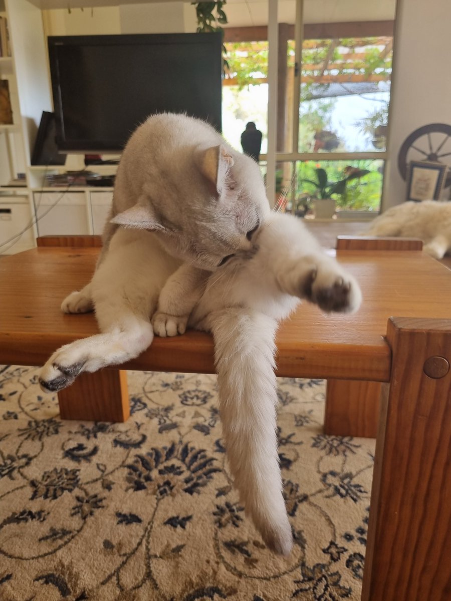 Emily Smith tweet media