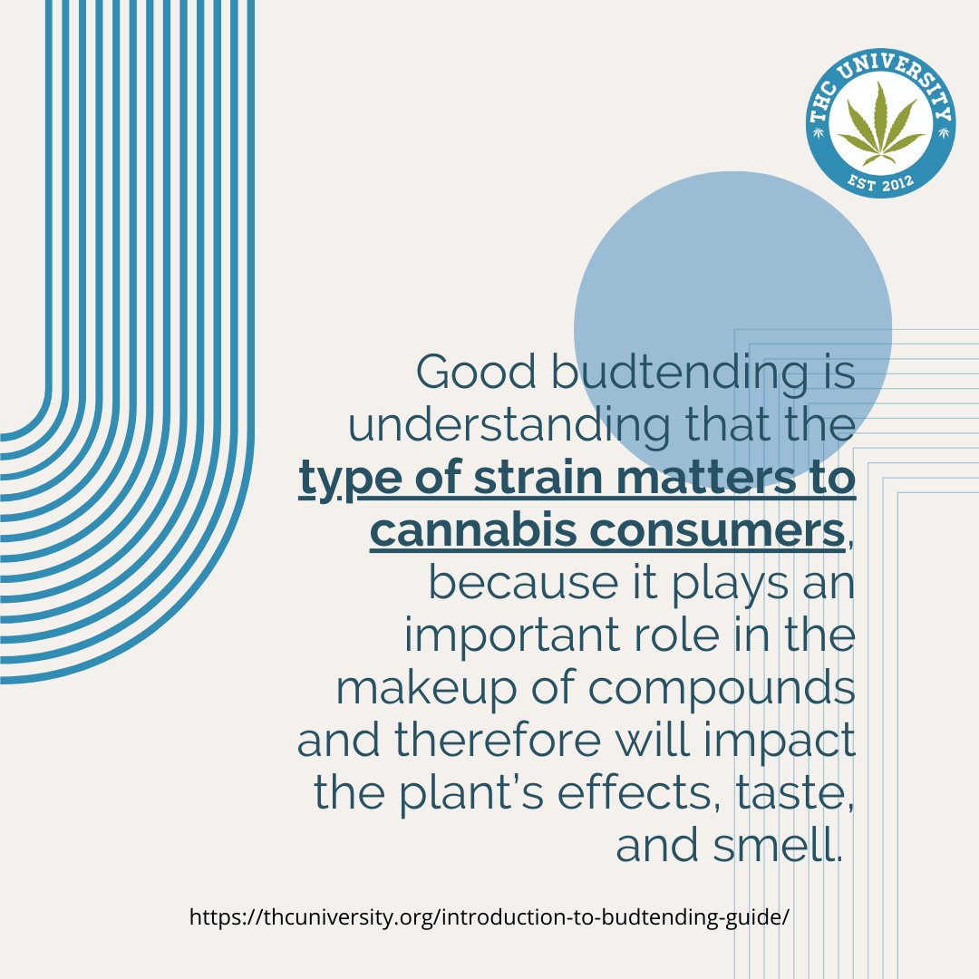 THC University tweet media