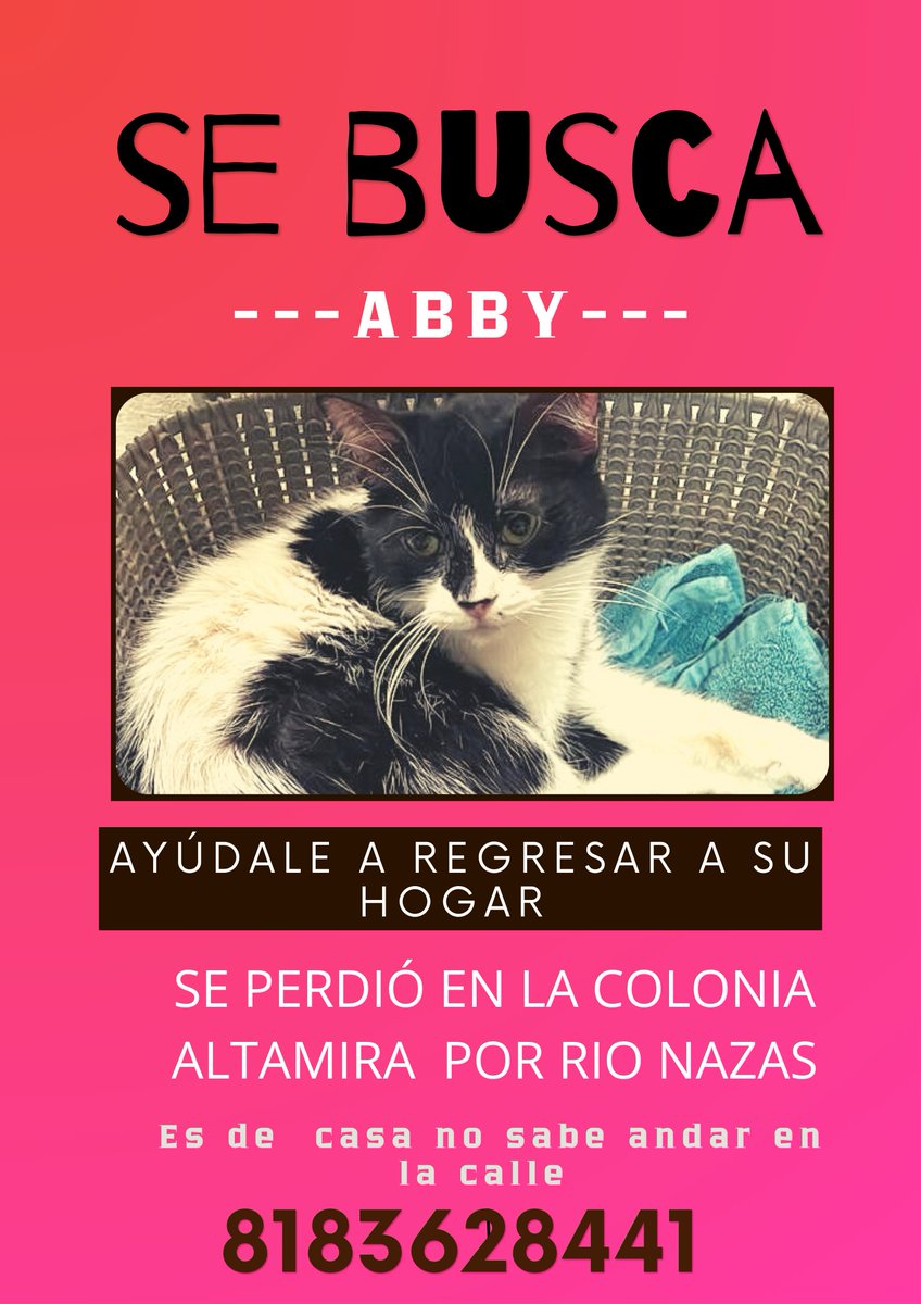 Ayúdale a regresar a su hogar
Se llama Abby
Salió de su casa en la Colonia Altamira cerca de avenida Río Nazas
No sabe andar en la calle es de casa 
Informes 8183628441
<a href="/alycemar64/">Alicia Martinez</a> <a href="/AtentosMTYSur/">Atentos Mty Sur ¡vecinos en acción!</a> <a href="/Cicmty/">CIC</a> <a href="/Informativo3651/">Informativo365</a> <a href="/AVISOSMTY/">AVISOSMTY</a> @DistritoTec