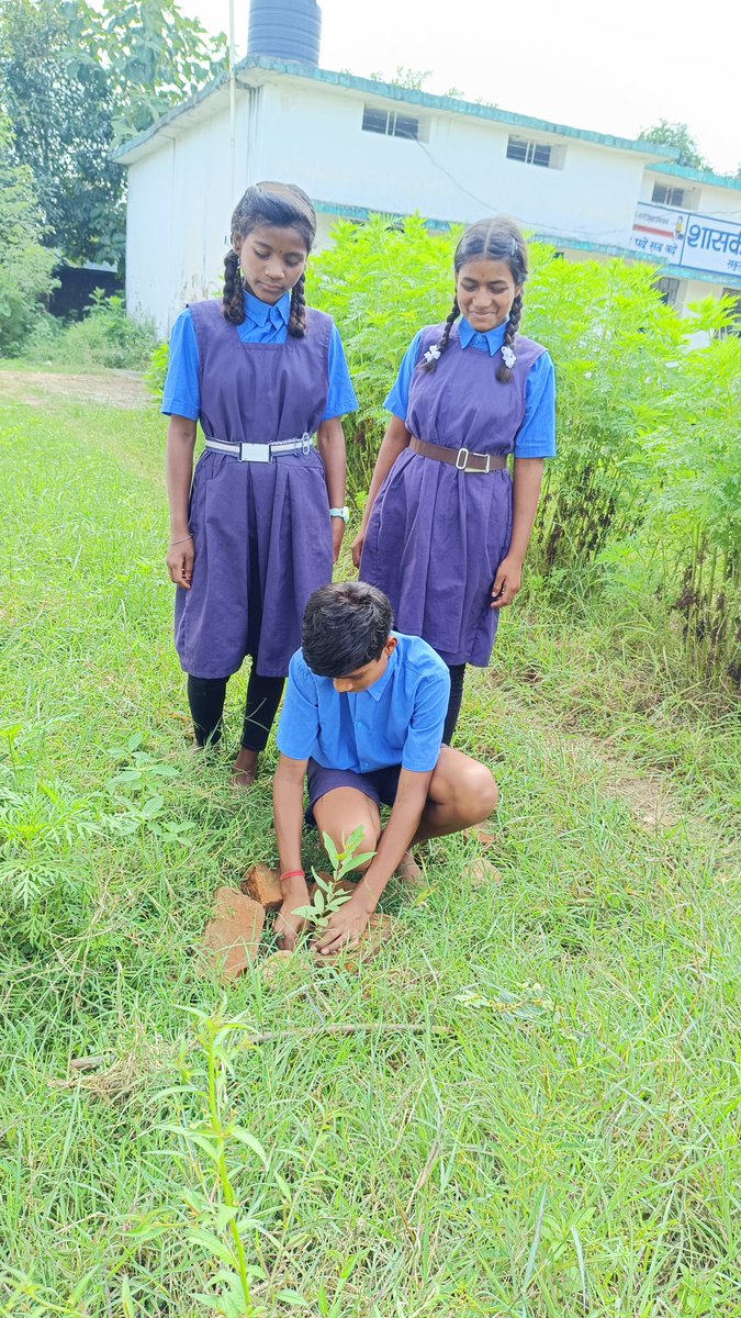 abhi6971's tweet photo. Planting a tree for Meri Mati Mera Desh Program.

#MeriMatiMeraDesh 
#AmritKalashYatra https://t.co/xpNSpYCFC6