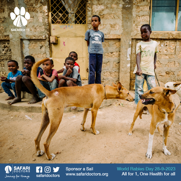 SafariDoctors's tweet photo. We are asking everyone who owns unvaccinated domesticated dogs to bring them in for the mass vaccination campaign we will be conducting in honour of the 17th World Rabies Day on September 28 at our Shella Veterinary Clinic. #journeyforchange #rabies All for 1, One Health for all https://t.co/XODvIrHbVF