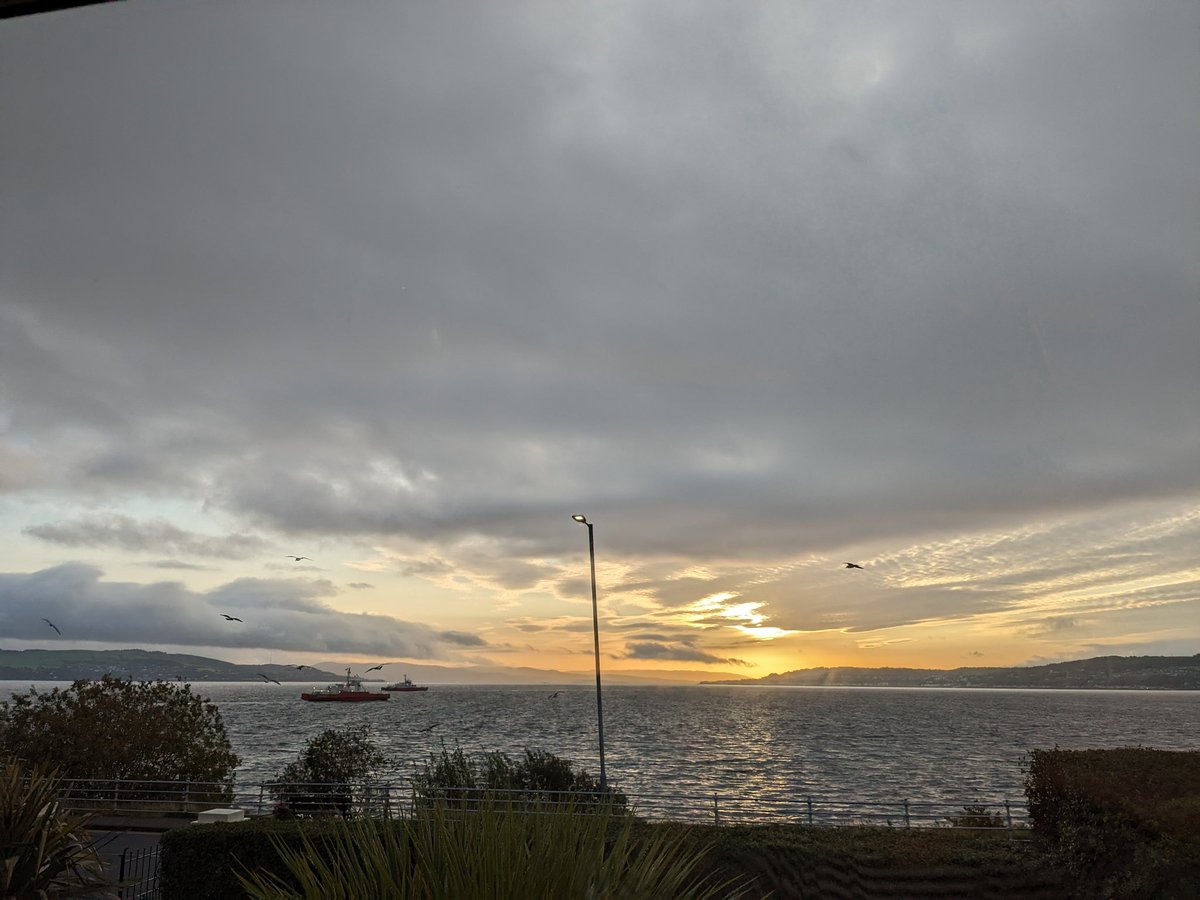 Marguerite Kaye tweet media