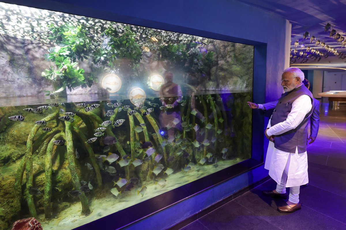 Aquatic Gallery at Science City is a celebration of aquatic biodiversity and marine marvels. 

It highlights the delicate yet dynamic balance of our aquatic ecosystems. 

It is not only an educative experience, but also a call for conservation and deep respect for the world