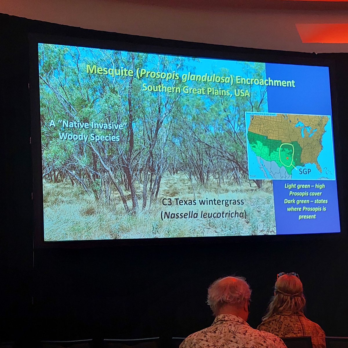 David John Eldridge (@dj_eldridge) on Twitter photo Great presentation by Jim Ansley. Effective control of #mesquite by #fire in SW USA lasts less than a decade <a href="/ManuDelBaq/">ManuDelgadoBaquerizo</a> <a href="/UNSWScience/">UNSW Science</a> <a href="/ser2023cre86944/">Server2023 (ser2023cre)</a> Great presentation by Jim Ansley. Effective control of #mesquite by #fire in SW USA lasts less than a decade <a href="/ManuDelBaq/">ManuDelgadoBaquerizo</a> <a href="/UNSWScience/">UNSW Science</a> <a href="/ser2023cre86944/">Server2023 (ser2023cre)</a>
