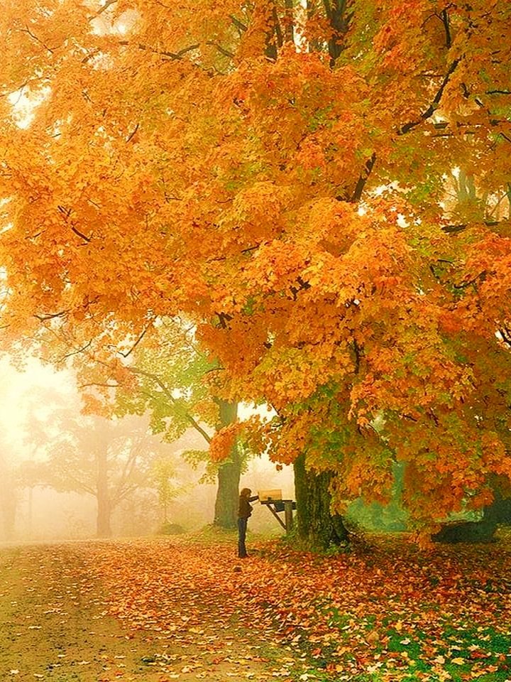 "Trust starts with truth and ends with truth."

May your day be inspiring! 🧡