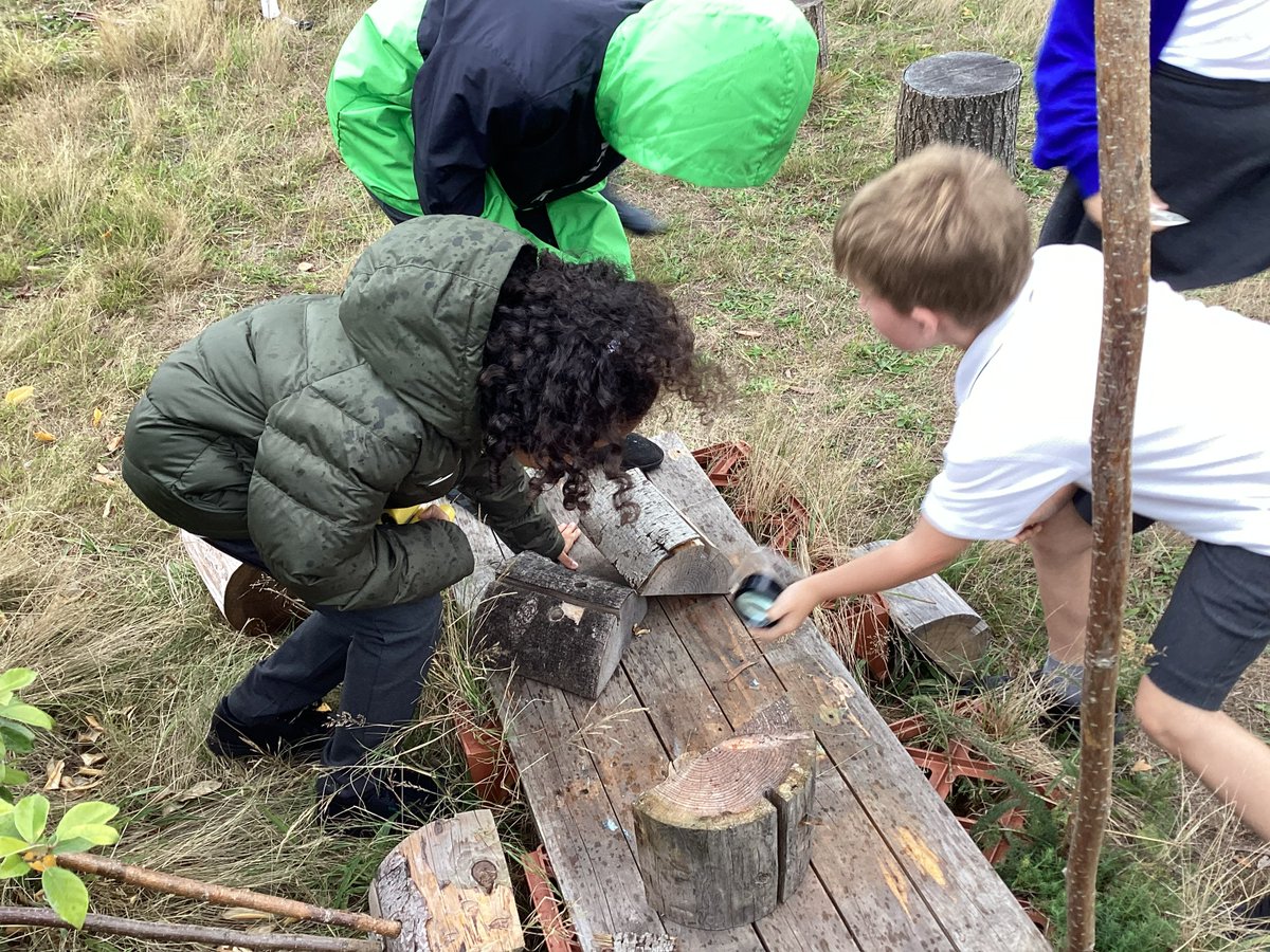 PelhamYear4's tweet photo. During science we became environmentalists. We explored our wildlife area and classified the creatures we found. We used our scientific vocabulary to help us discuss each creature. #lovelearning @PelhamPrimary_ https://t.co/bdQjVYv7sa
