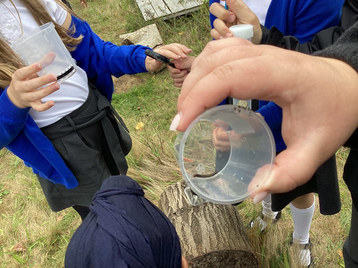PelhamYear4's tweet photo. During science we became environmentalists. We explored our wildlife area and classified the creatures we found. We used our scientific vocabulary to help us discuss each creature. #lovelearning @PelhamPrimary_ https://t.co/bdQjVYv7sa