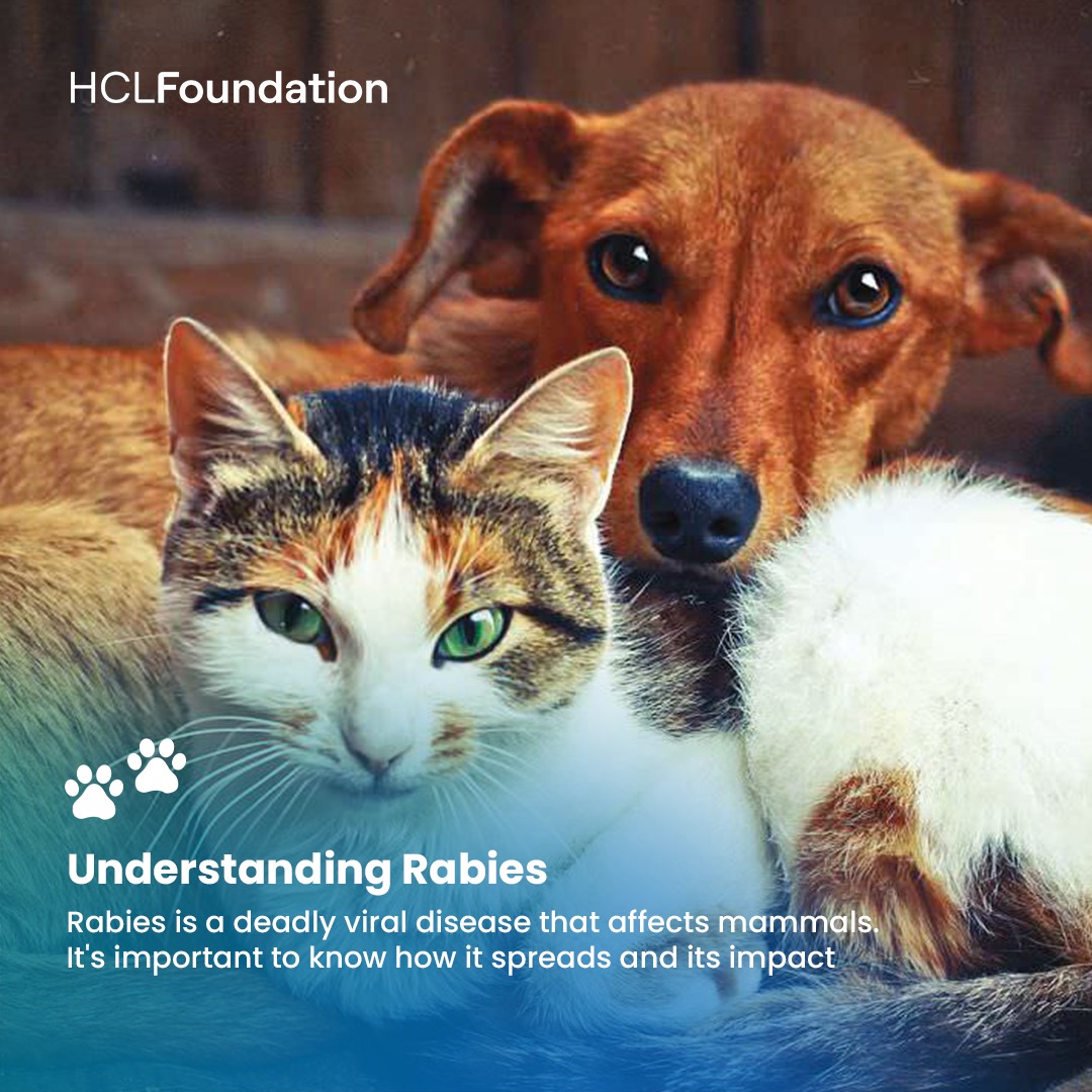 HCL_Foundation's tweet photo. Rabies safety begins with awareness and education. Understanding how rabies spreads, its symptoms, and the importance of timely vaccinations is essential for preventing its transmission. https://t.co/kR6WI80WMR