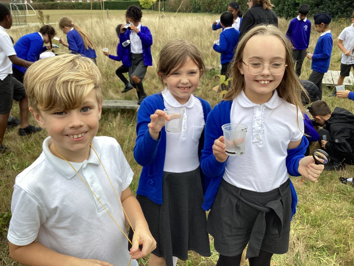 PelhamYear4's tweet photo. During science we became environmentalists. We explored our wildlife area and classified the creatures we found. We used our scientific vocabulary to help us discuss each creature. #lovelearning @PelhamPrimary_ https://t.co/bdQjVYv7sa
