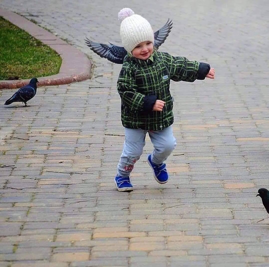 VeraYK 🇺🇦 tweet media