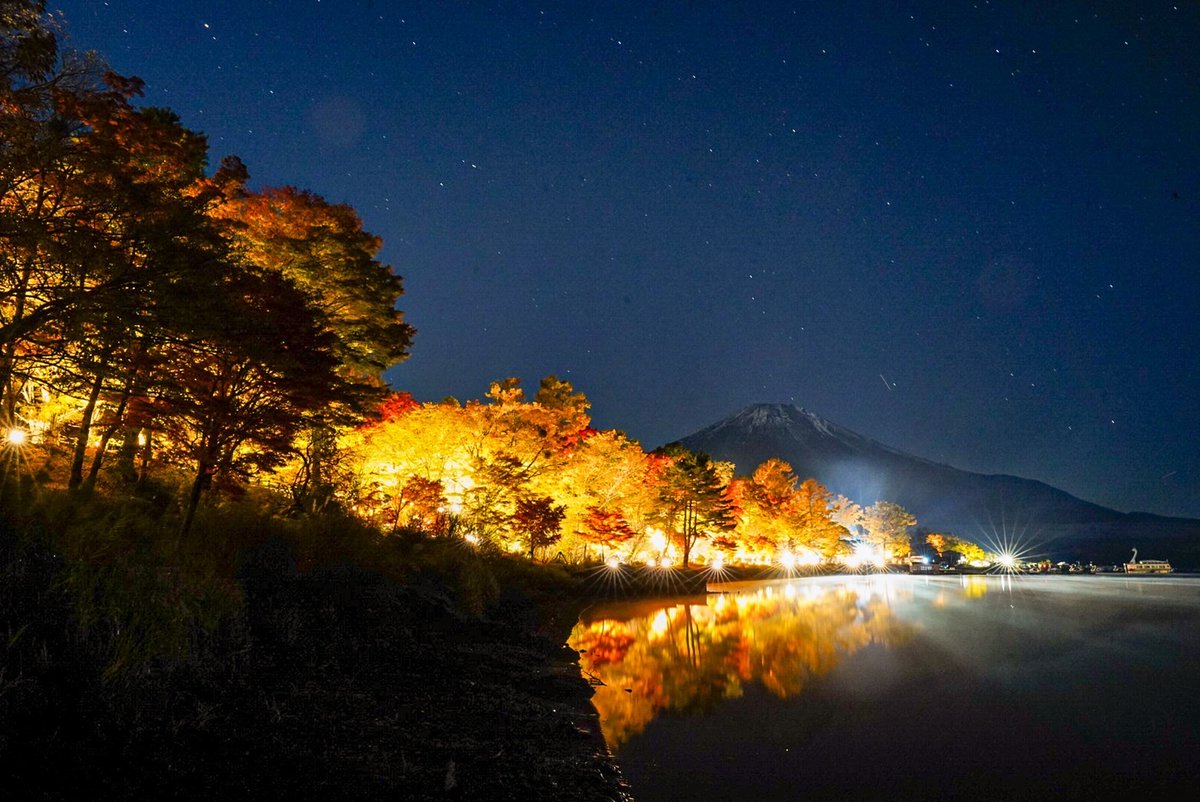 yamanakakokanko's tweet photo. 🍁山中湖夕焼けの渚紅葉まつり🍁
昨年は過去最高の12万人の来場者となった紅葉まつりが今年も開催！
旭日丘緑地公園をメイン会場に紅葉回廊をライトアップします！

期間10月27日(金)～11月12日(日)
詳細や最新情報につきましては、公式HPにてお知らせしていきますので、続報をお待ちください📷 https://t.co/8C4WxDD5Qt