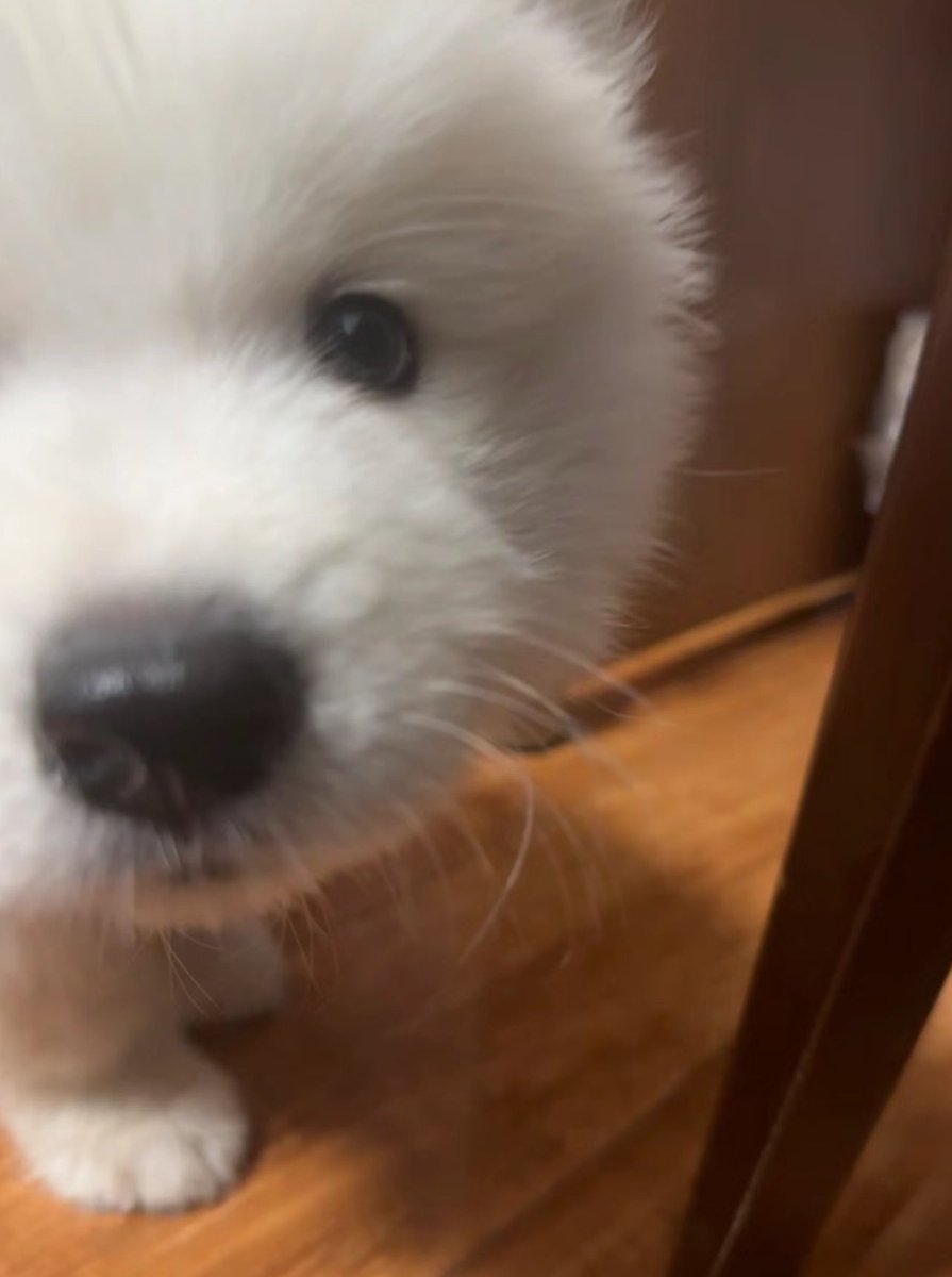 เค้ากลมขนาดนี้จะหอมได้ยาง