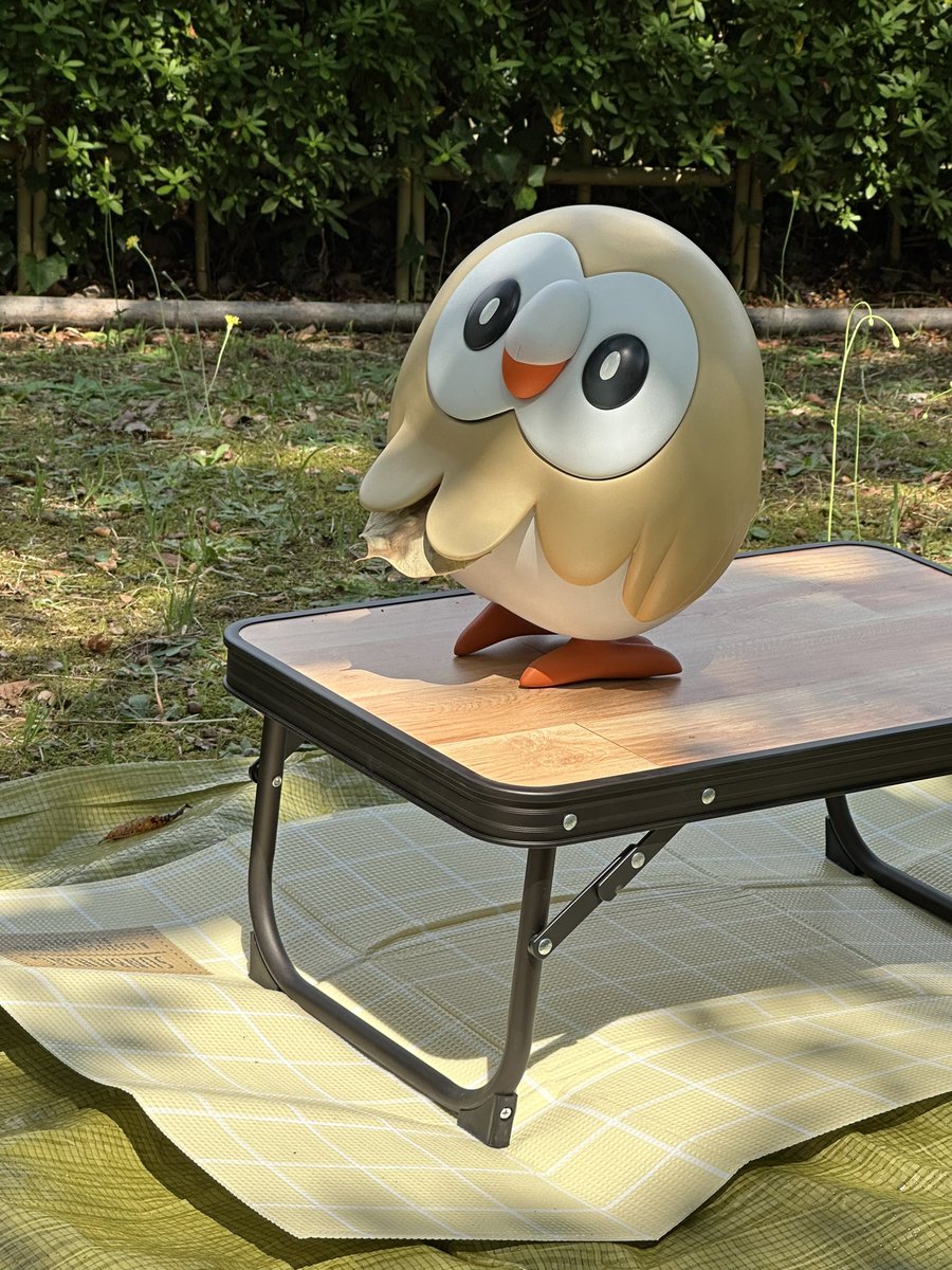 plasmaclusterha's tweet image. 机の上にのるなー！