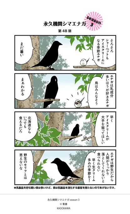 【✨隔週 月～金/Season3 配信中✨】            

あざといシマエナガと賢いカラス     第48羽         

意外と食べるんですけどね。
#シマエナガとカラスさん 
#永久機関シマエナガ 
#漫画が読めるハッシュタグ 