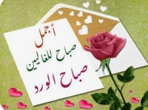 يا زين صبحك ينعش القلب والروح
يرسل على قلبي نسايم رياحك  
يسري مع الشريان ويصحي البوح
والشعر ينطق اسعد الله صباحك
#صباح_الخيرᅠ