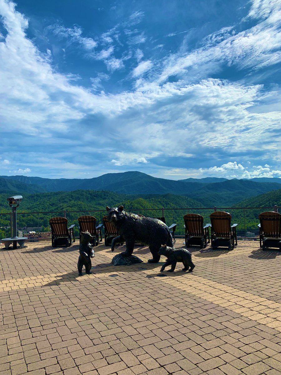 kaebaeman's tweet photo. Life ⛰️🐻 https://t.co/zBe3066BrP