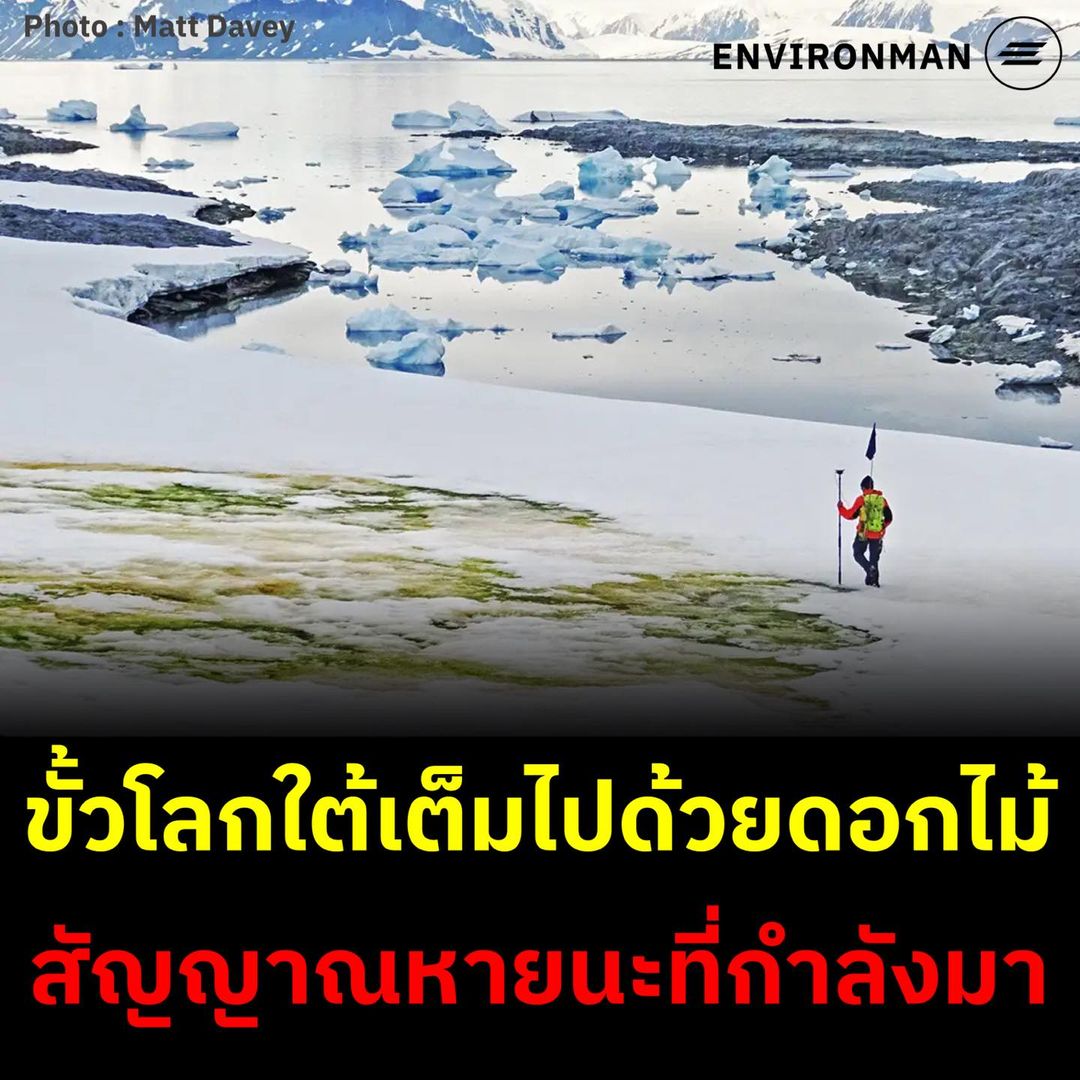 environman tweet media