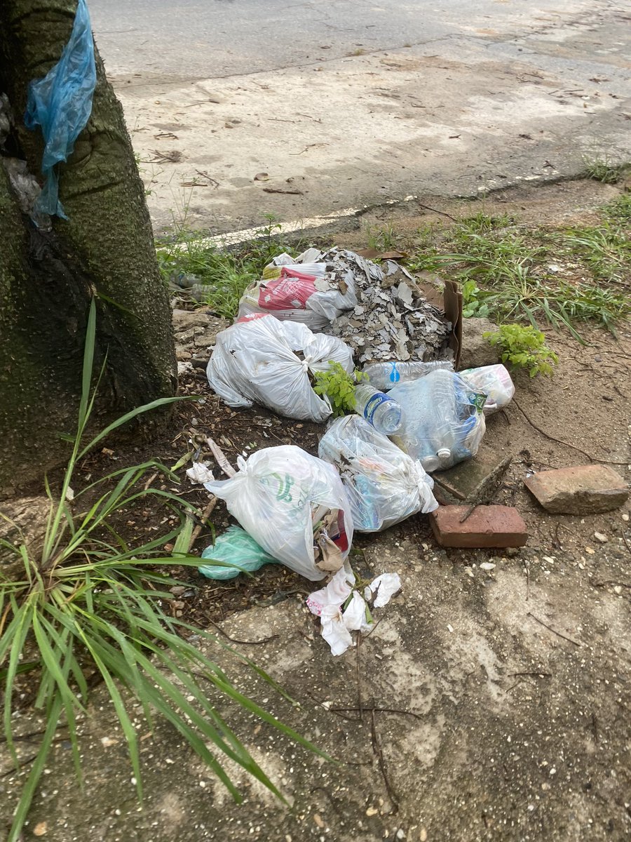 GabyRasRa's tweet photo. @asopraes cada dia  botan mas  basura en el inicio de  la  avenida el paseo , botellas de licor escombros y mas en la  acera https://t.co/minlEjHAts