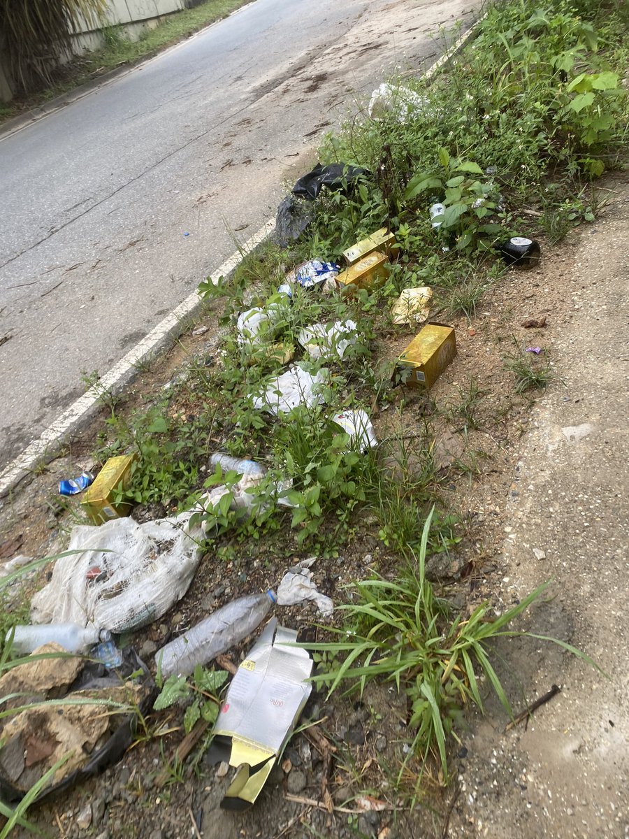 GabyRasRa's tweet photo. @asopraes cada dia  botan mas  basura en el inicio de  la  avenida el paseo , botellas de licor escombros y mas en la  acera https://t.co/minlEjHAts
