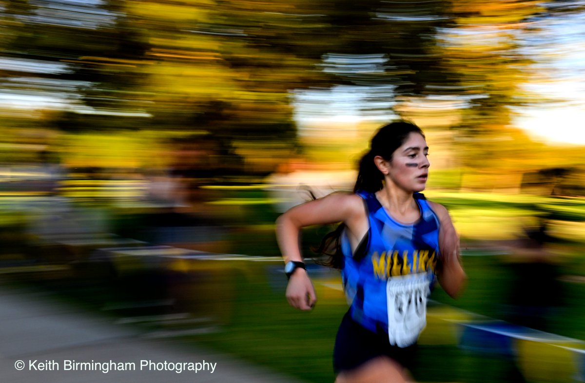 photowkb's tweet photo. Nadia Mejia of Millikan wins the girls 3 mile run with a time of 17:26.66 during the Moore League boys and girls cross country Meet at El Dorado Park in Long Beach. @cifss #cifss @johnwdavis #xcountry #crosscountry #running #mooreleague @InsideSoCalSpts https://t.co/ztIyYgLTwZ