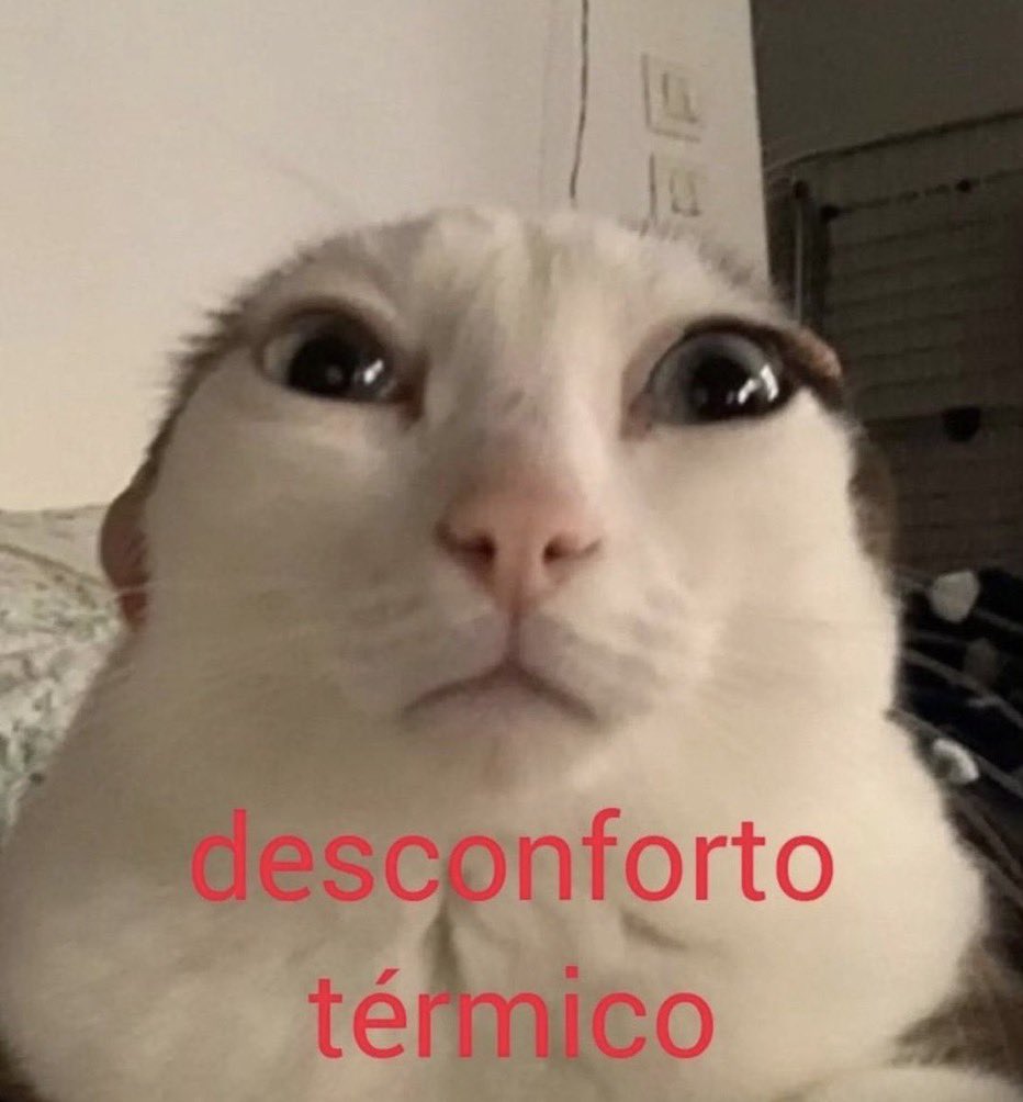 heechulpa's tweet photo. Sinto que a qualquer momento posso morrer defumada https://t.co/KMw0wK6SYq
