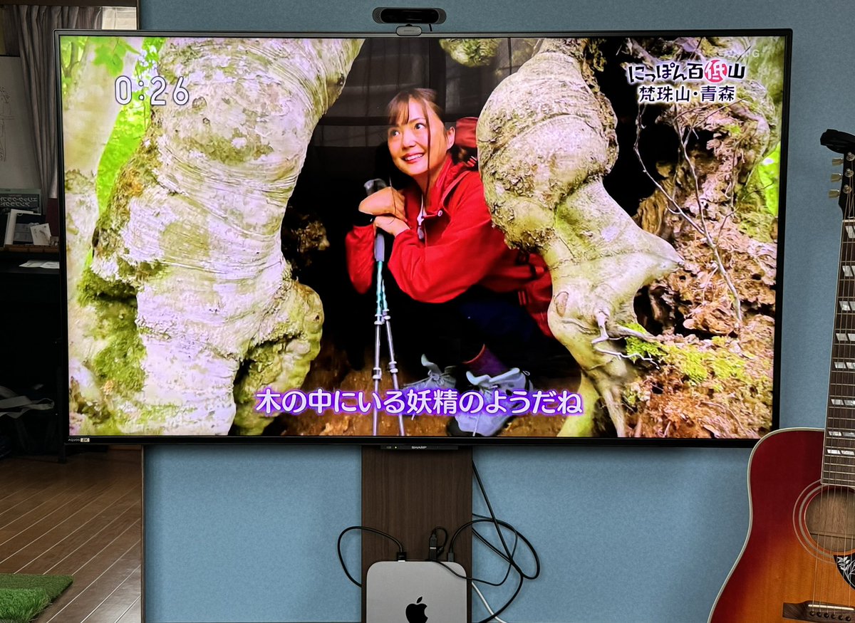 ポポロクロイス物語🧚ナルシアの涙と妖精の笛のオルガ隊長役を演じてくださった三上枝織さん発見！
テロップ通り、木の中にいる妖精のようですww OnAir中📺NHK BS

#ポポロクロイス
#ナルシアの涙