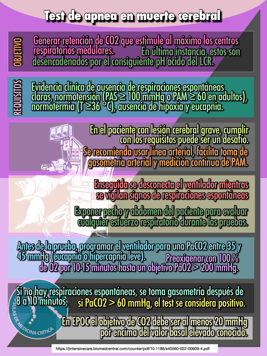 capsulas_de's tweet photo. Test de apnea en la valoración clínica de muerte cerebral…

Fuente: Brain death: a clinical overview. Journal of Intensive Care (2022). 

Cápsula 525.

https://t.co/iIekHNUntJ https://t.co/4TddwpskOI
