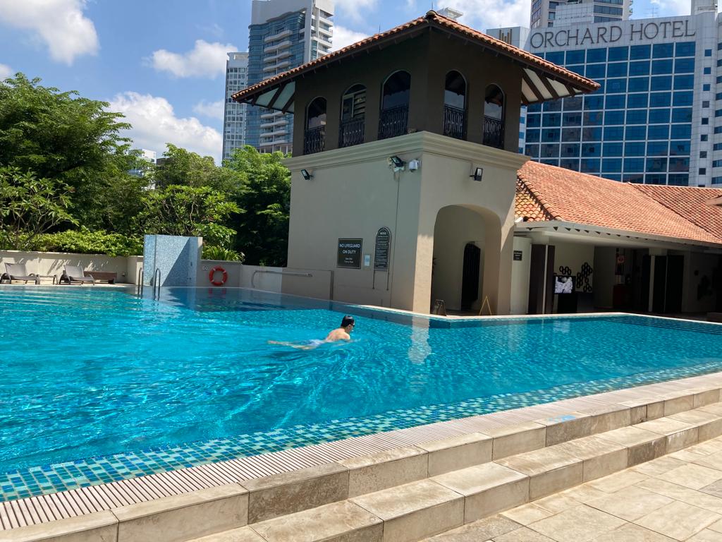 tatmingpoon's tweet photo. Relax in Singapore https://t.co/n8S3PXiuta