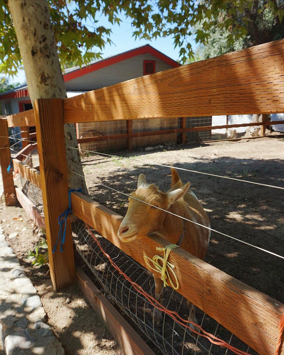 just kidding, it's $4.5M. i just wanted to piss you off

redfin.com/CA/Sylmar/1042…