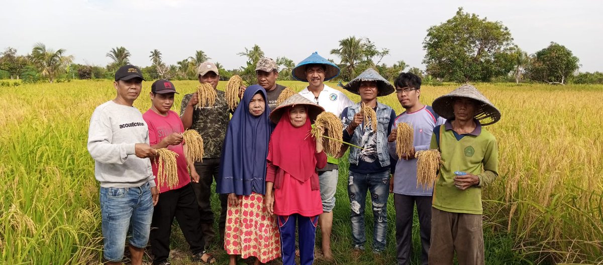 My field research from September 2022 to September 2023, oil palm plantations impoverish local people (An Ethnographic Notes on 3 River Villages).