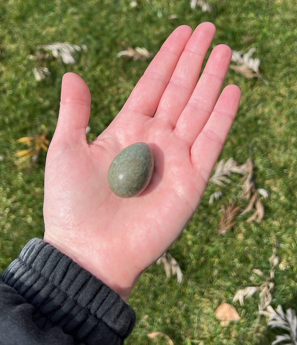 Ayo anyone know what type of bird hatches from this⁉️