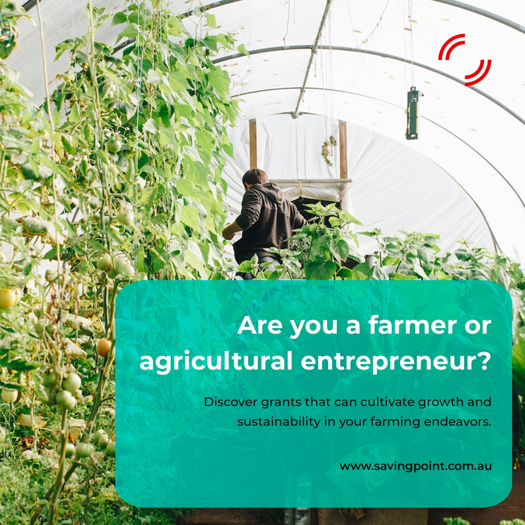 Are you a farmer or an agricultural entrepreneur? Discover grants that can cultivate growth and sustainability in your farming endeavors.

#AgricultureGrants #FarmingSupport #SustainableAg #RuralDevelopment #Farmers