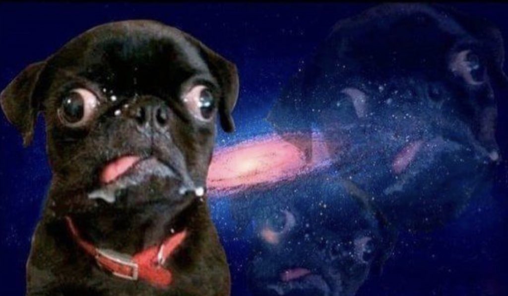 Uno puede hacer queso con leche materna? Osea que asco pero es una pregunta.