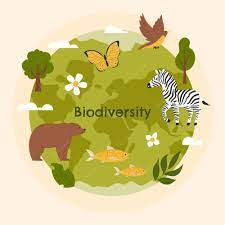JournalofIndus1's tweet photo. 🌿 Celebrating the beauty of our planet's #Biodiversity! 🌏Each species, big or small, plays a vital role in the delicate balance of our ecosystem. Let's stand together to protect and preserve the incredible variety of life on Earth. 🦋 #Nature #Conservation #Wildlife #OurPlanet https://t.co/kVhZriIAgB