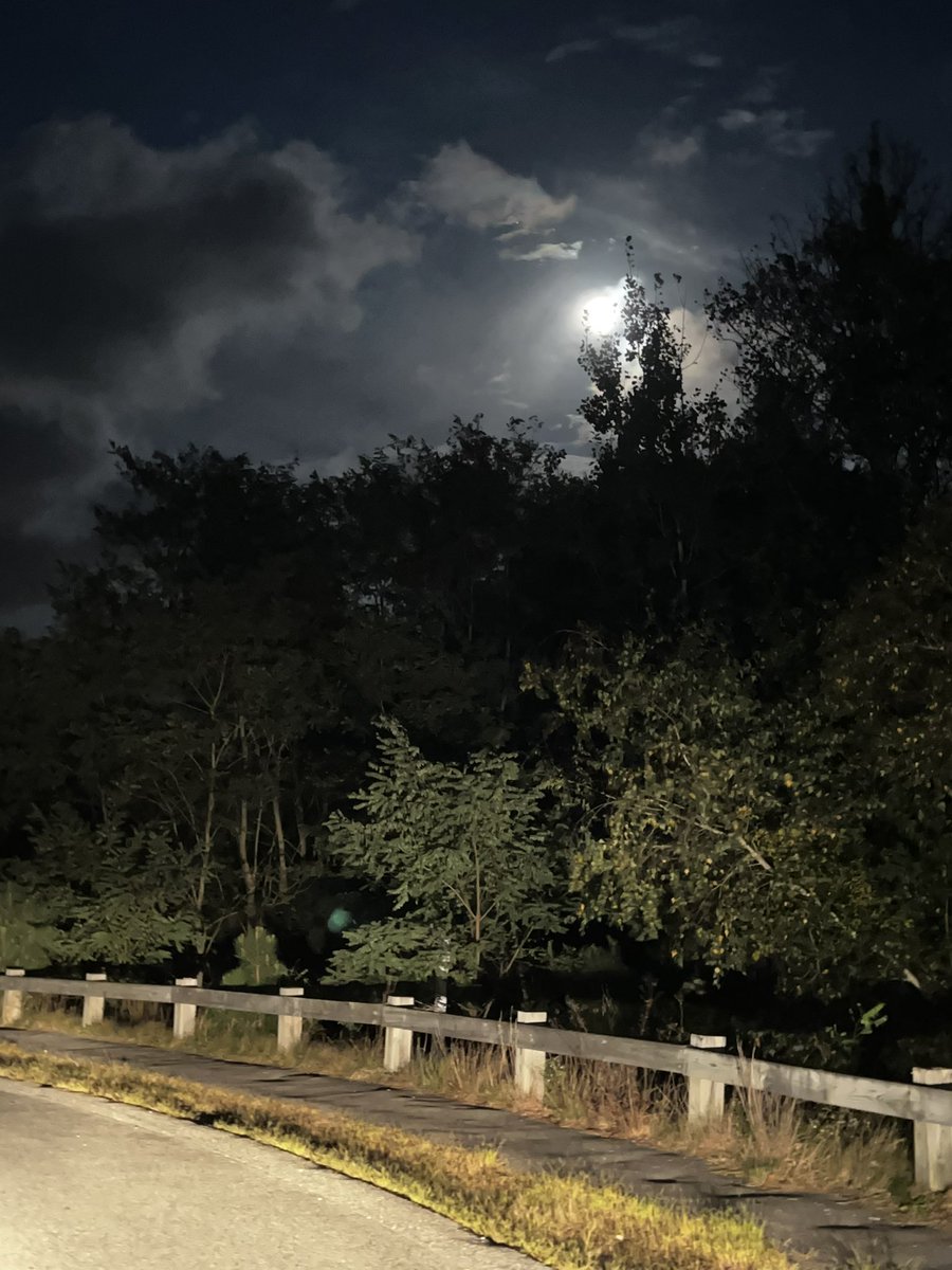 SMcpot508's tweet image. Moon flic #FallNights