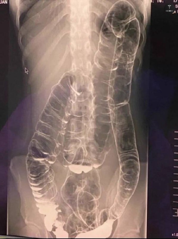 Base Anak FK | Cek Pinned buat kirim Menfess! 📍 tweet media