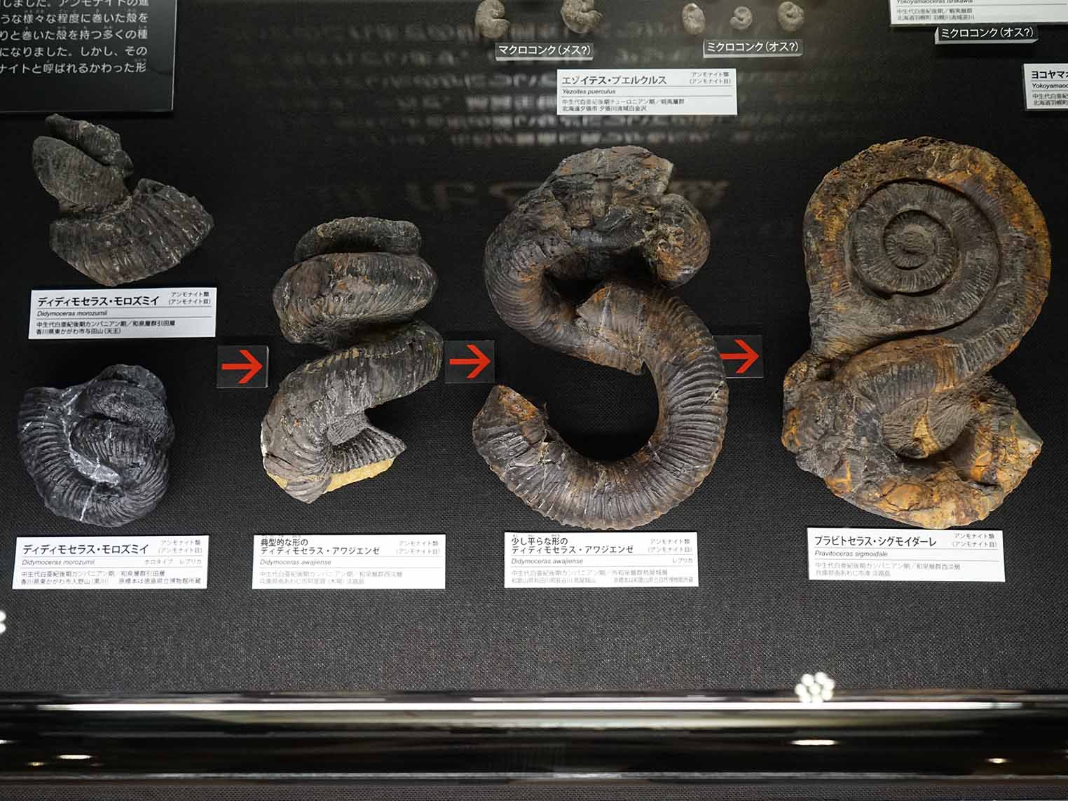 カルチュラル・ミスエデュケーション : 「文化遺産の伝達」とは何なのか カルチュラル・ミスエデュケーション : 「文化遺産の伝達」とは