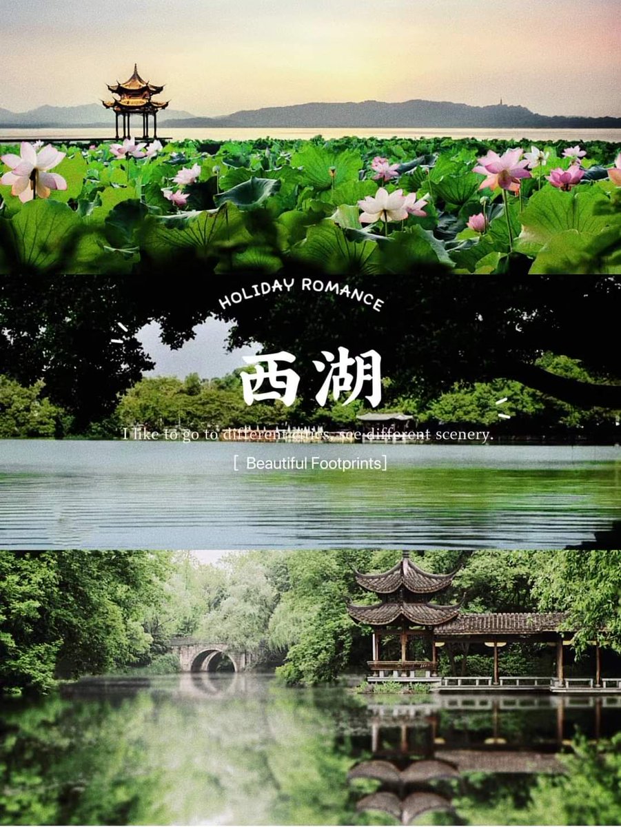 XT72WLdeP147347's tweet photo. #互关贴  冲2000粉

1、主动关注别人
2、评论、点赞、转发，有曝光才有更多互粉
3、互粉留言，每个人我都会关注💯

#互关 #互粉 #互关必回 #亚运会 https://t.co/sedoBRmL2O