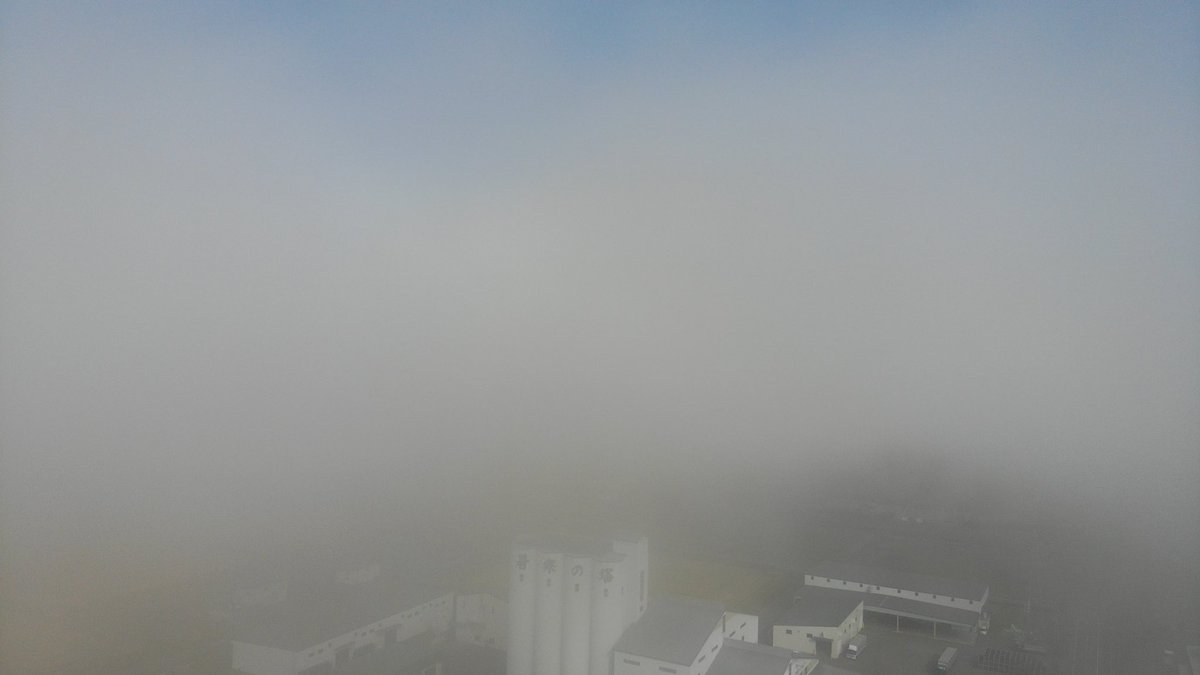 uryu_chioko's tweet photo. 【雨竜町で雲海☁️】
最近は寒暖の差が激しく、放射冷却で地表が冷えて朝方は霧が発生していますね😶‍🌫️

ドローンで上から見ると雲海を見ているかのように撮影できました！

気象状況で見られるものなので、撮影できるのもラッキーです📸

#北海道雨竜町 #雲海 #秋の空 #Autamn https://t.co/2VUMmzZCko