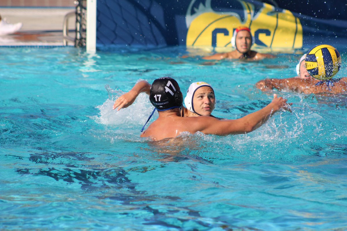 Mr. Phan tweet media