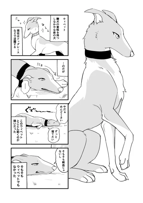 自分の中での設定を固めつつちょっとずつ描いていければと…。
#るどまる 