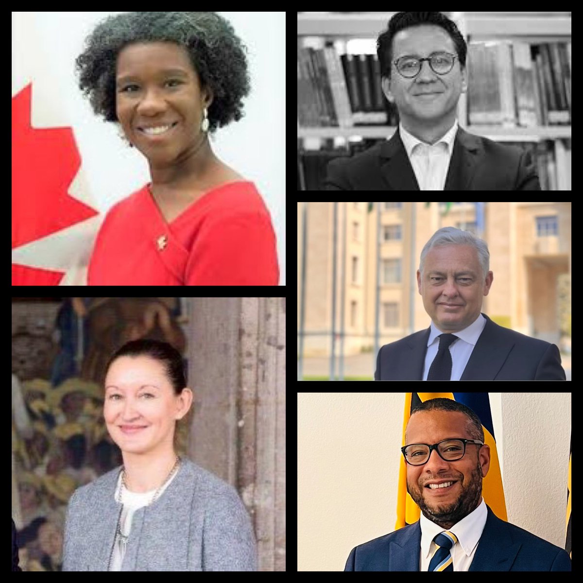 Matthew Wilson tweet media