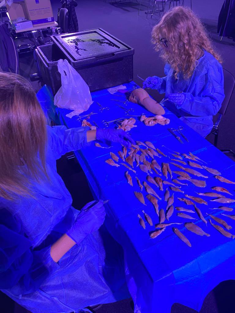 Paola Campennì tweet media