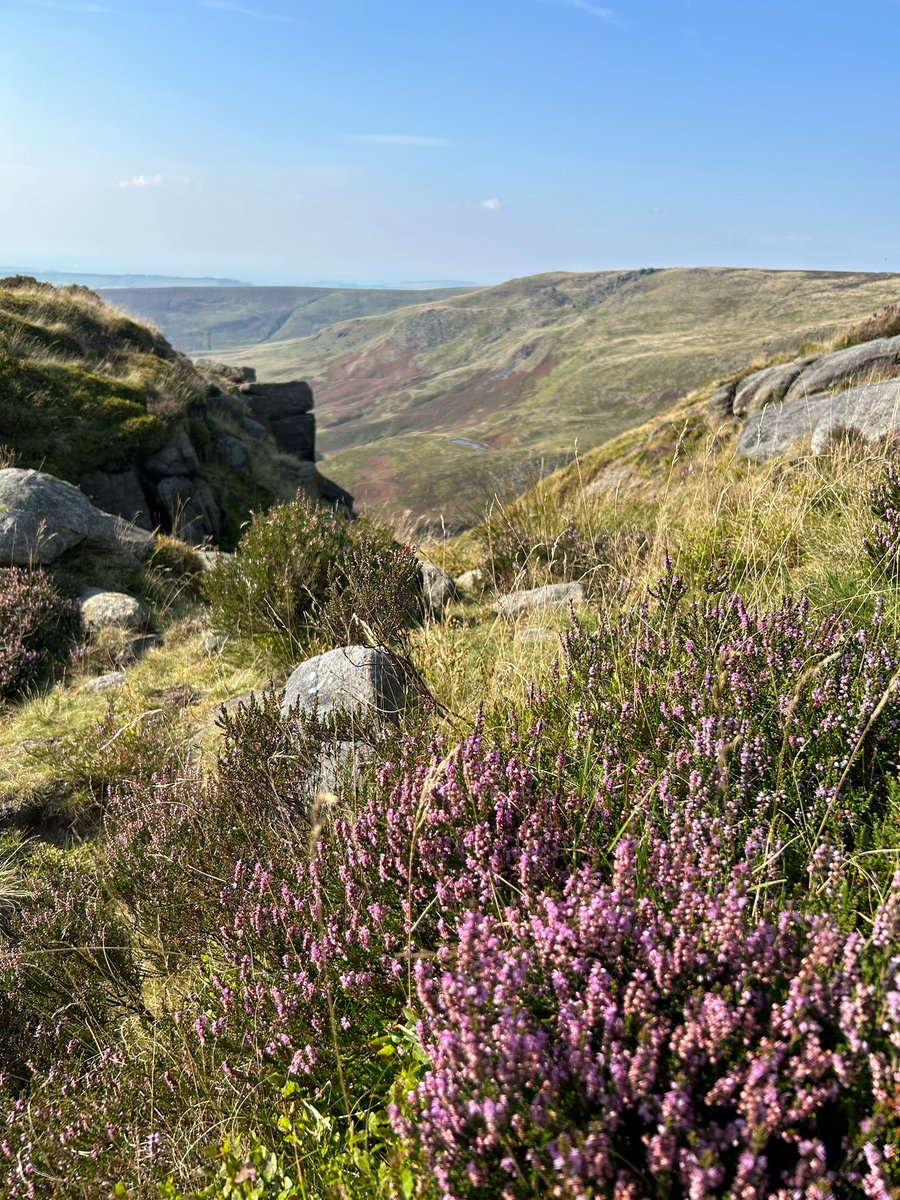 Kinder Scout a few weeks ago ☀️
I could see the Mermaids Pool in the distance and wished so much that it was closer so I could take a dip to cool off 💦 

📍 Kinder Scout, Peak District 

#peakdistrict #kinderscout #hikingadventures
